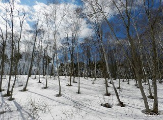 f:id:haru-leo:20140412084313j:image f:id:haru-leo:20140412084313j:image