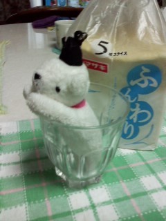 f:id:haru-leo:20140731164250j:image
