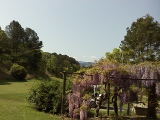 f:id:haru-leo:20150501093435j:image f:id:haru-leo:20150501093435j:image