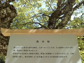 f:id:haru-leo:20150505091345j:image