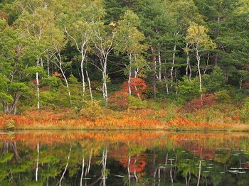 f:id:haru-leo:20150925190438j:image f:id:haru-leo:20150925190438j:image