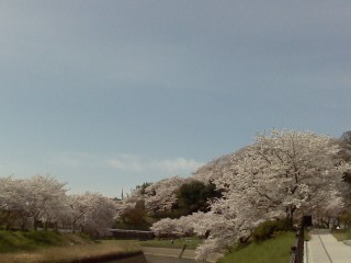 f:id:haru-leo:20160406100819j:image f:id:haru-leo:20160406100819j:image