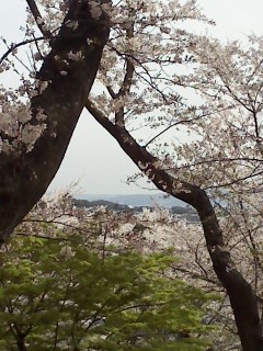 f:id:haru-leo:20160406102014j:image f:id:haru-leo:20160406102014j:image