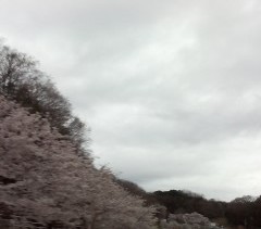 f:id:haru-leo:20160408080126j:image