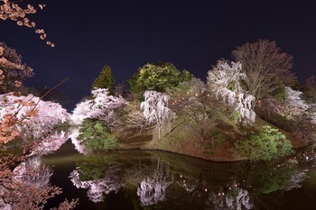 f:id:haru-leo:20160411054153j:image f:id:haru-leo:20160411054153j:image