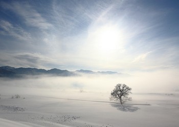20170227070033