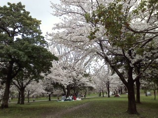 f:id:haru-leo:20170409110807j:image f:id:haru-leo:20170409110807j:image