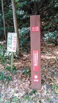 f:id:haru-leo:20180326132447j:image
