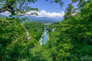 f:id:haru-leo:20180611054643j:image