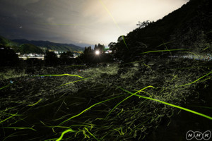 f:id:haru-leo:20180618082458j:image