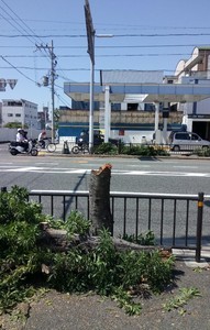 20180905165434