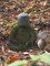 20181102045845