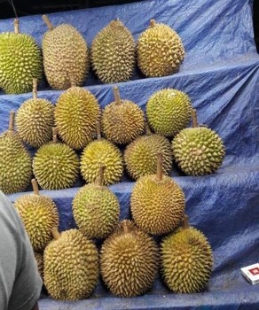 f:id:haru-leo:20181214163919j:image f:id:haru-leo:20181214163919j:image