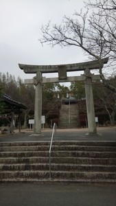 f:id:haru-leo:20190303101231j:image f:id:haru-leo:20190303101231j:image