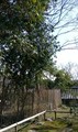 20190315200507