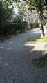 20190316181023