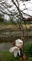 20190325175636