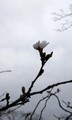 20190325175716