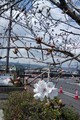 20190401184332