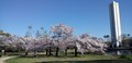 20190413101544