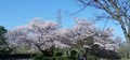 20190413101717
