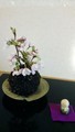 20190417175655