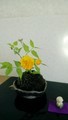 20190417175724