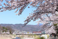 20190430183037