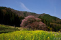 20190430183041