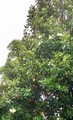 20190530182934