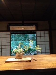f:id:haru-leo:20201020110543j:plain