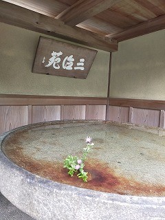 f:id:haru-leo:20201020110631j:plain