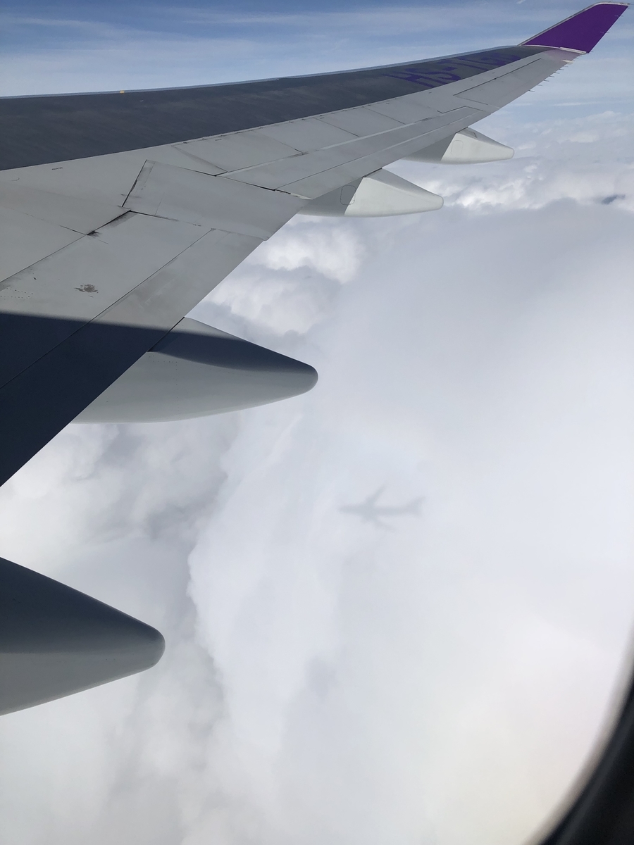 f:id:haru-oneday:20191231214725j:plain f:id:haru-oneday:20191231214725j:plain