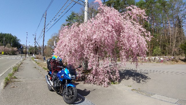 f:id:haru-to-bIke:20210422163242j:image f:id:haru-to-bIke:20210422163242j:image