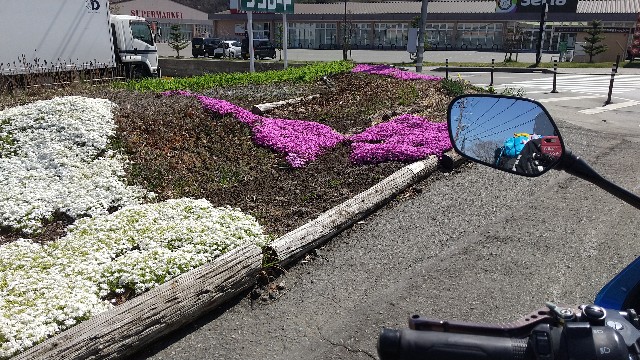 f:id:haru-to-bIke:20210422163422j:image f:id:haru-to-bIke:20210422163422j:image