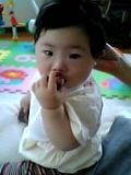 おもちゃは口に入れます。
