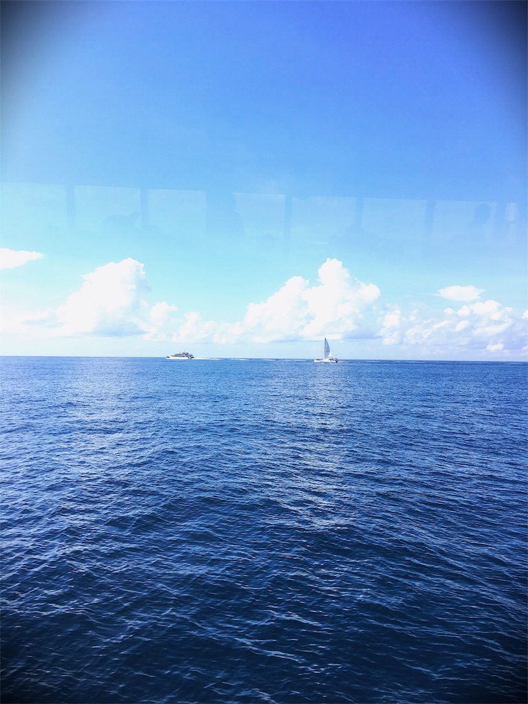 f:id:haru1792:20180411235049j:image