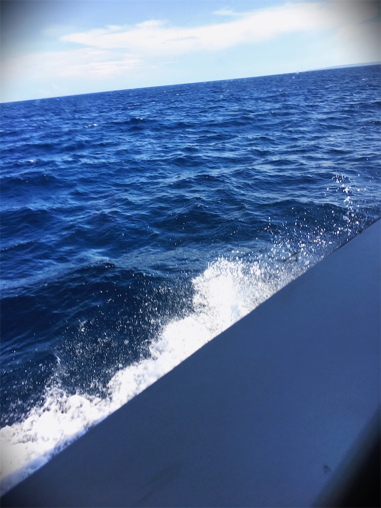 f:id:haru1792:20180412004206j:image