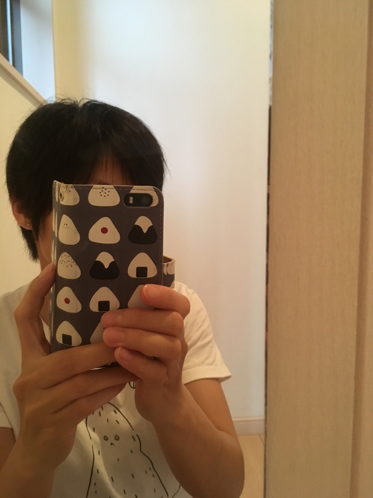 f:id:haru501227:20170705131453j:plain