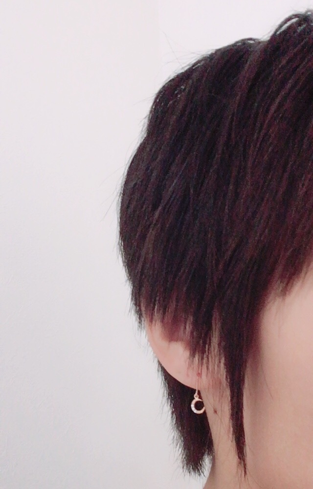 f:id:haru501227:20170910130730j:plain