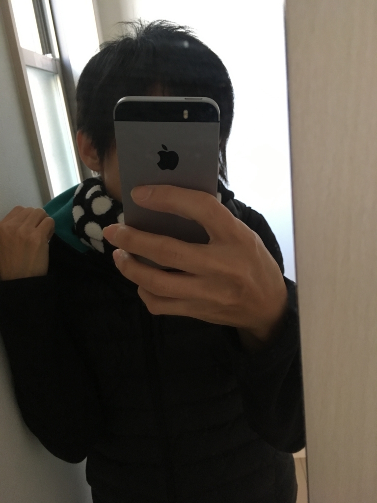 f:id:haru501227:20171124220032j:plain