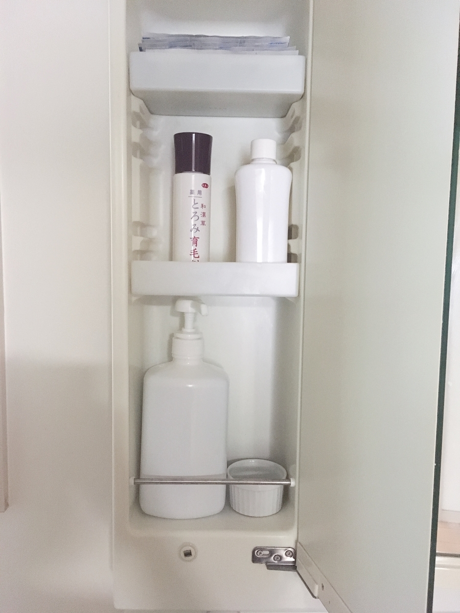 f:id:haru501227:20190709221557j:plain