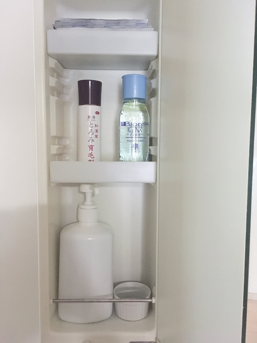 f:id:haru501227:20190709221629j:plain