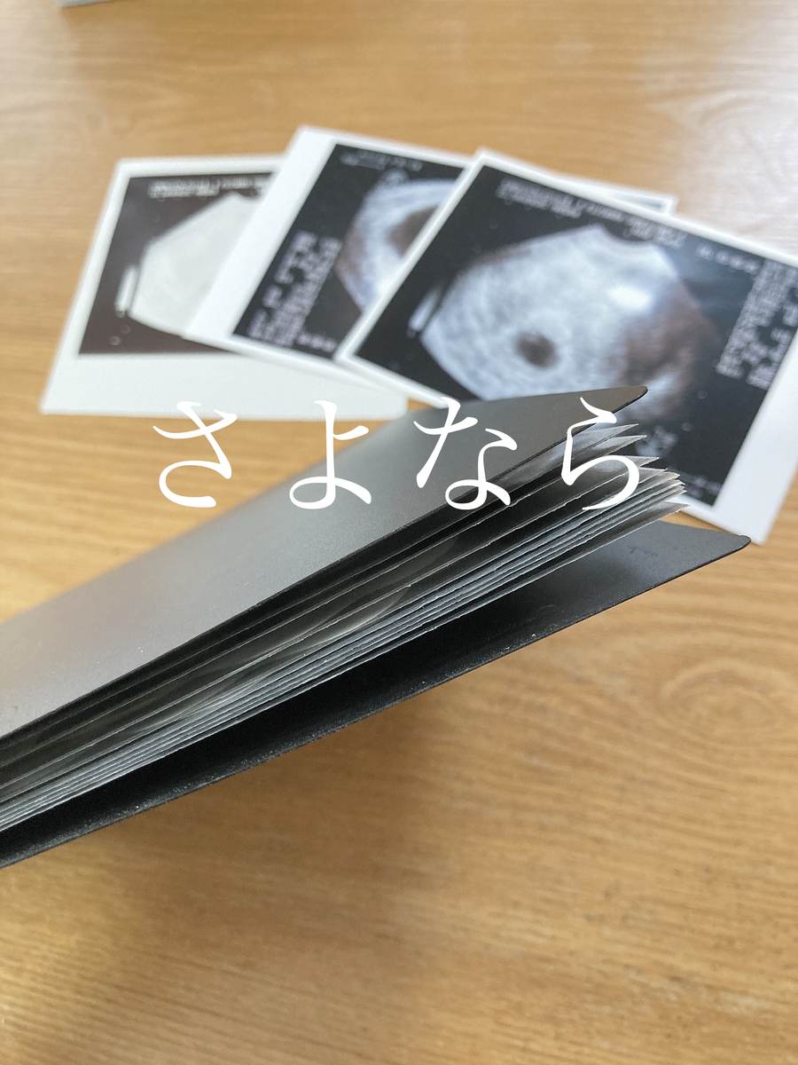 f:id:haru501227:20210128222901j:plain