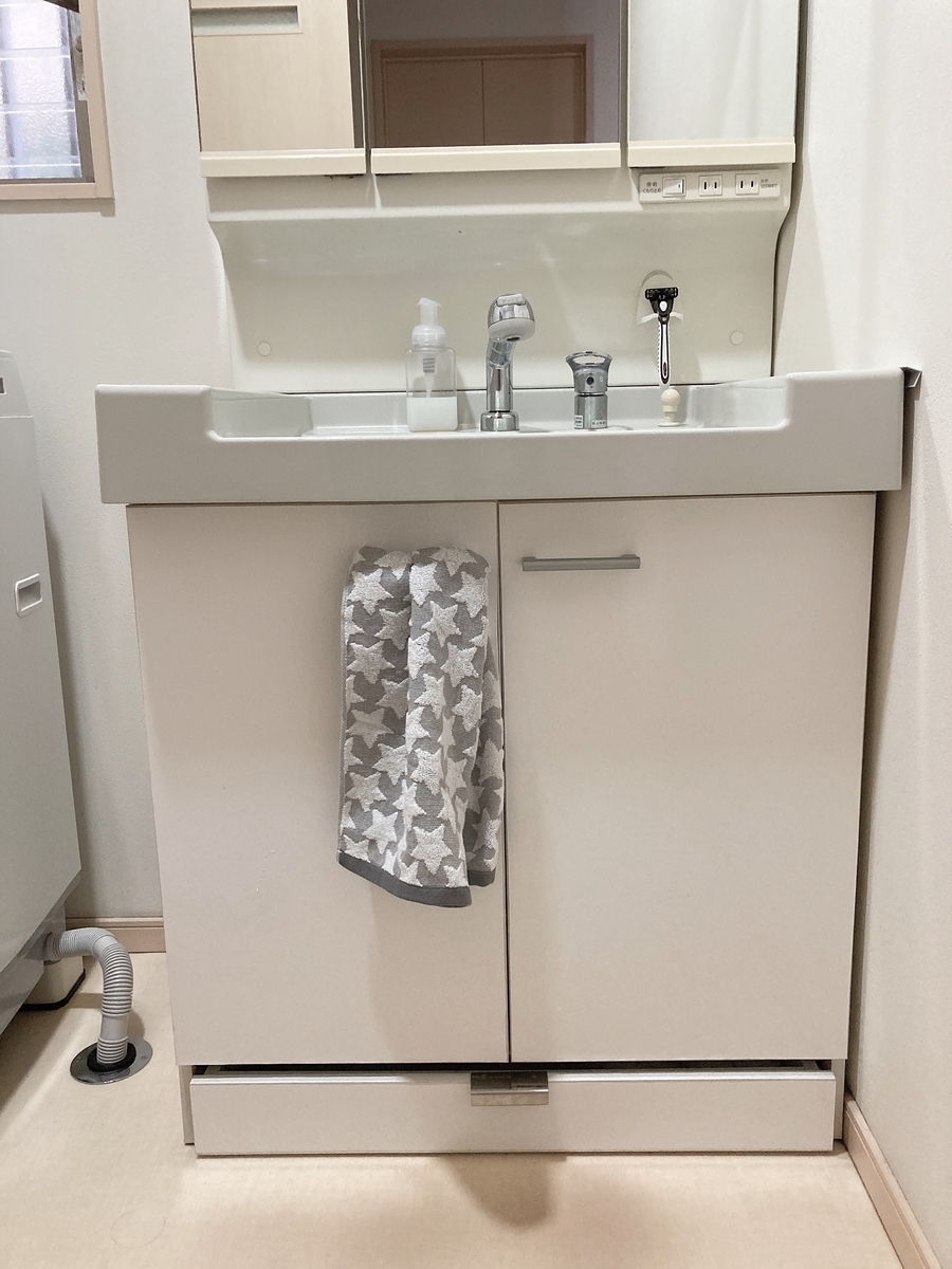 f:id:haru501227:20210307214817j:plain