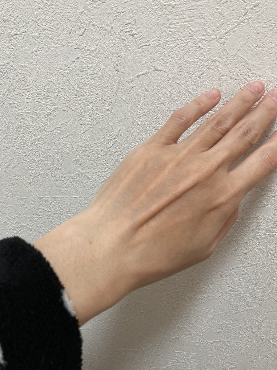 f:id:haru501227:20210327214544j:plain