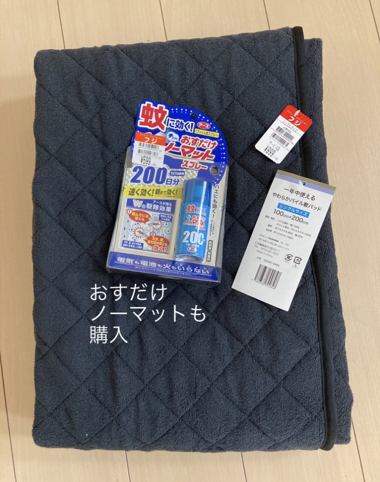 f:id:haru501227:20210327214943j:plain