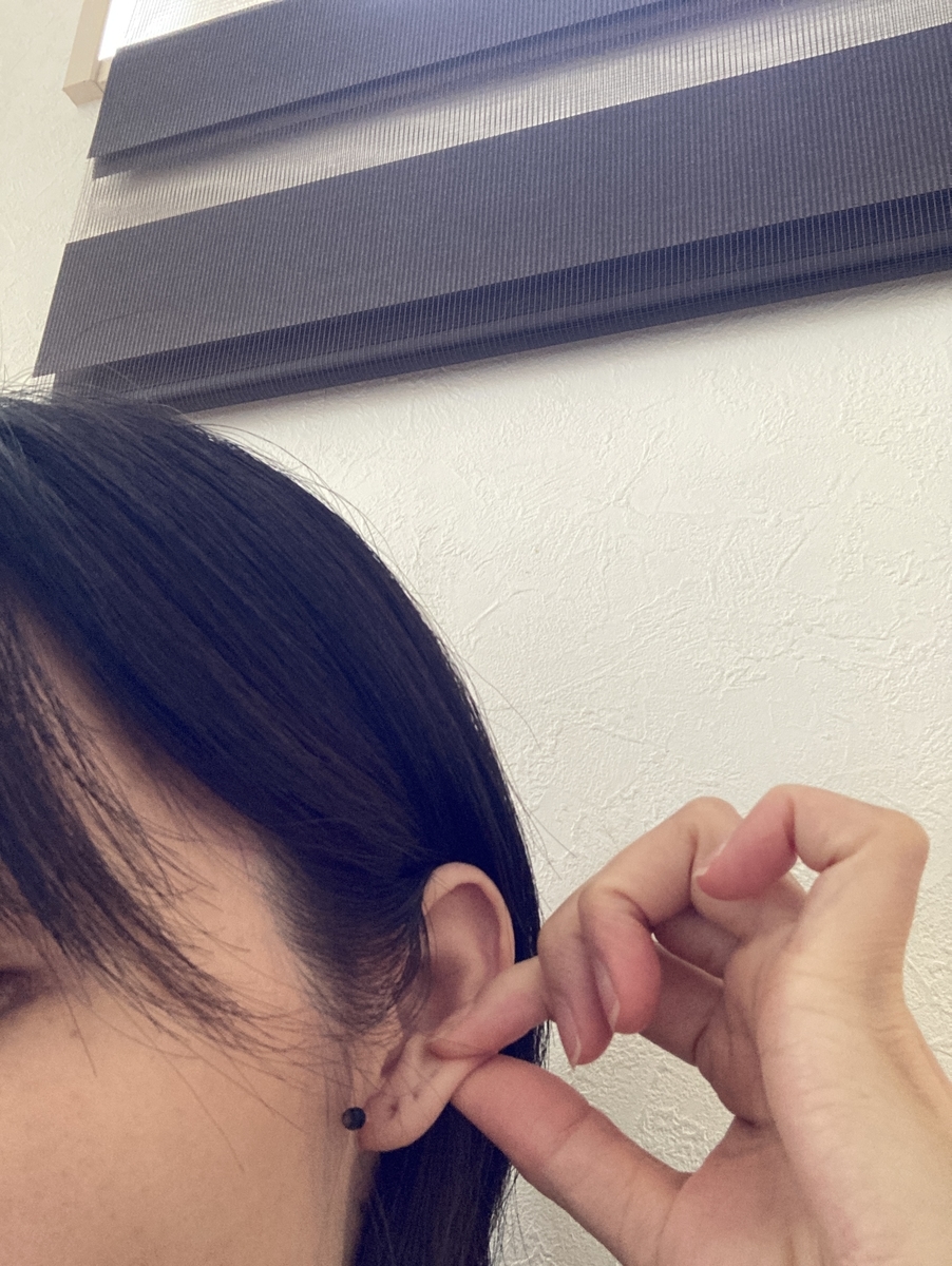 f:id:haru501227:20210706162432j:plain