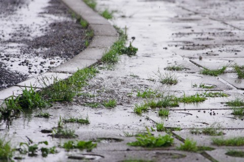 別府火の海祭りで台風が来た時は？