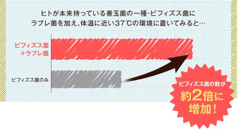 f:id:haru72lemone:20180504014845j:plain f:id:haru72lemone:20180504014845j:plain